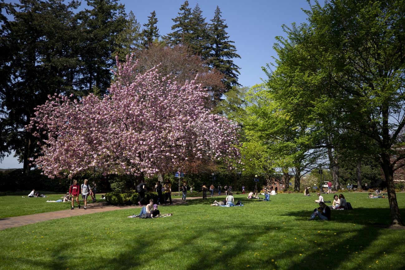 Individuals enjoying a leisurely time outdoors, seated on the lush green grass of Western's campus.