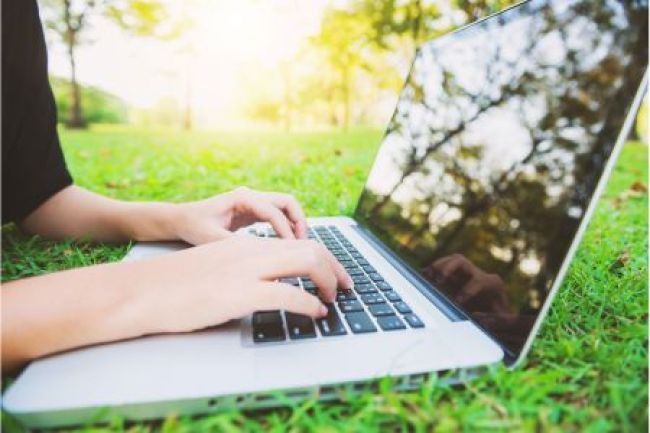 An individual typing on a laptop in the park, their hands focused on the keys, surrounded by nature's tranquility.